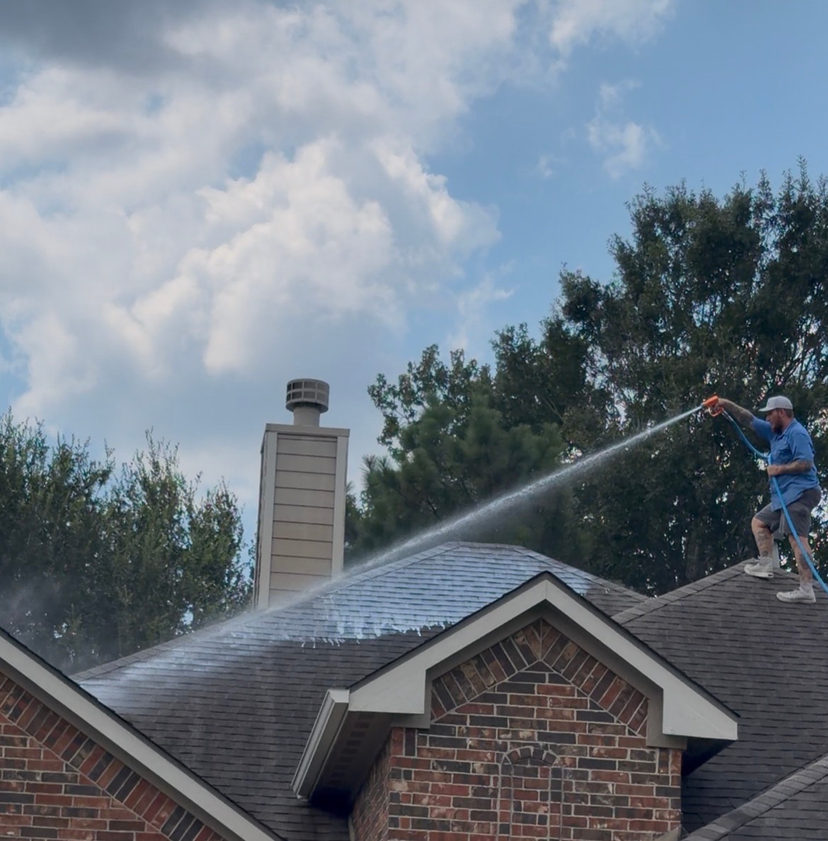 Roof Soft Washing